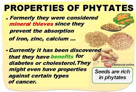 phytet|Phytate .